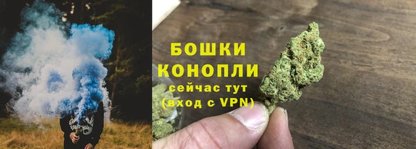 шишки Белоозёрский