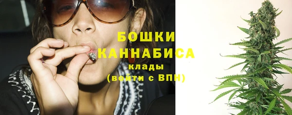 шишки Белоозёрский