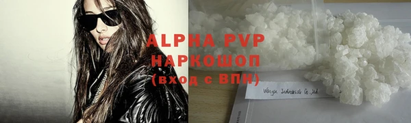 шишки Белоозёрский