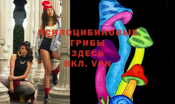 спиды Беломорск
