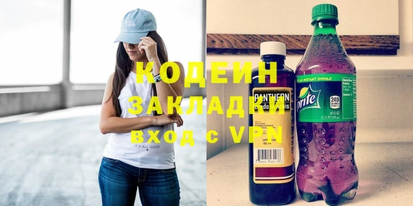 шишки Белоозёрский
