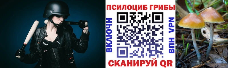 купить наркоту  Каневская  Галлюциногенные грибы MAGIC MUSHROOMS 